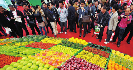 聚焦熱帶農產品發展——國際熱帶農產品冬季交易會即將開幕