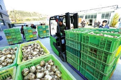 開啟供應鏈新模式，蘭州特色農產品走出新路子助力鮮活水產品發展