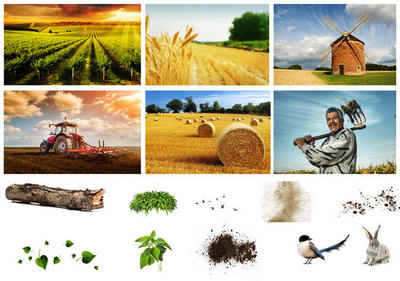 鮮活水產品 從海洋到餐桌，品味自然鮮甜