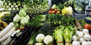 江楊農產品批發市場 城市農產品供應的樞紐