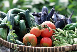 農產品追溯系統保障鮮活水產品食品安全