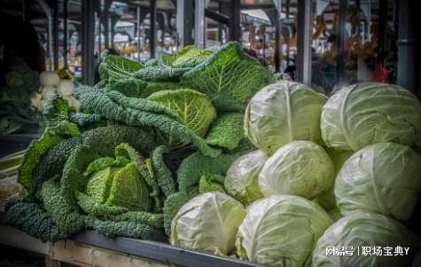 中國農(nóng)產(chǎn)品“墻內(nèi)開花墻外香” 出口低價(jià)與國內(nèi)滯銷的雙重困境