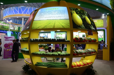 吳川祝: 樂東將打造熱帶特色高效農(nóng)業(yè)“王牌”——鮮活水產(chǎn)品