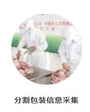 農產品質量安全追溯系統 深圳網站建設推廣在鮮活水產品領域的應用與價值