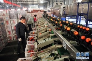 延伸農(nóng)產(chǎn)品產(chǎn)業(yè)鏈，鮮活水產(chǎn)品為鄉(xiāng)村振興展新貌